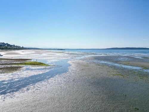 14495 Marine Drive, White Rock, BC 