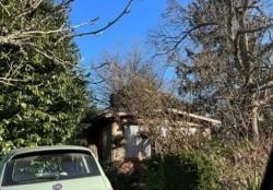 12449 114 Avenue Surrey, BC V3V 3N8