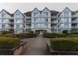 213-10082 132 Street Surrey, BC V3T 5V3
