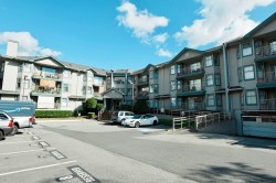 313-10756 138 Street Surrey, BC V3T 4K5