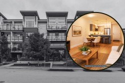 101-22136 49 Avenue Langley, BC V3A 0M8