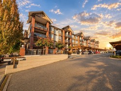 146-5660 201a Street Langley, BC V3A 0B4