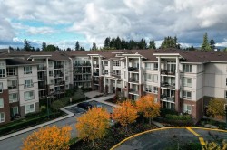 203-3192 Gladwin Road Abbotsford, BC V2T 6M9