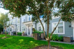 61-15833 26 Avenue Surrey, BC V3Z 2X5