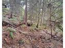 Lot 34 Deerhorn Drive, Sechelt, BC 