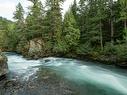 Lot 10 1726 River Run Place, Whistler, BC 