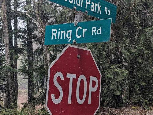 1304 Ring Creek Road, Squamish, BC 