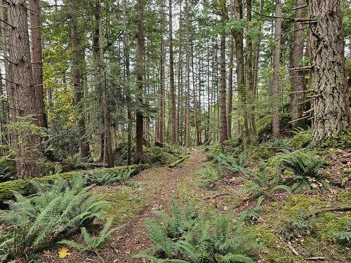 2016 Mount Artaban Road, Gambier Island, BC 