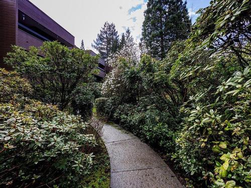202 2620 Fromme Road, North Vancouver, BC 