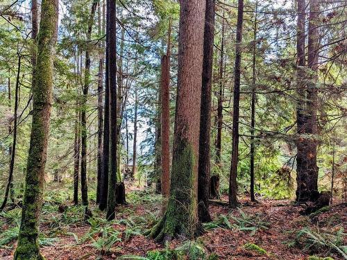 Blk74 Lot1297-Pln2848 West Bay Road, Gambier Island, BC 