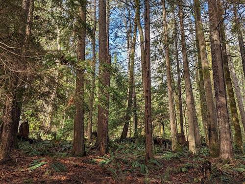 Blk74 Lot1297-Pln2848 West Bay Road, Gambier Island, BC 