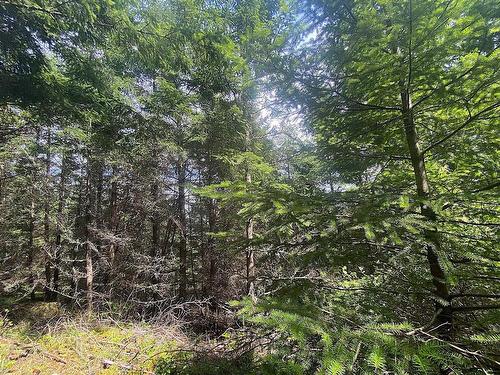 Lot 11 District Lot 71 And 77, Galiano Island, BC 