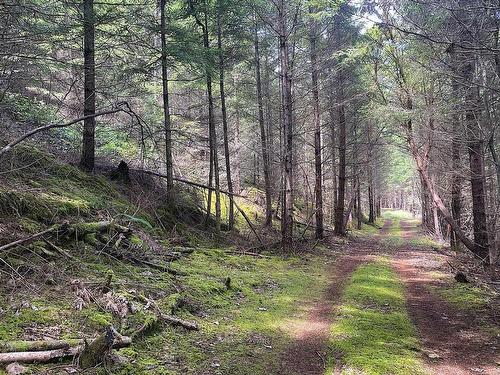 Lot 11 District Lot 71 And 77, Galiano Island, BC 