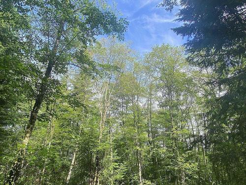 Lot 11 District Lot 71 And 77, Galiano Island, BC 