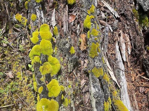 Lot 11 District Lot 71 And 77, Galiano Island, BC 