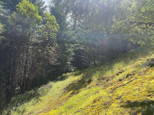 Lot 11 District Lot 71 And 77, Galiano Island, BC 