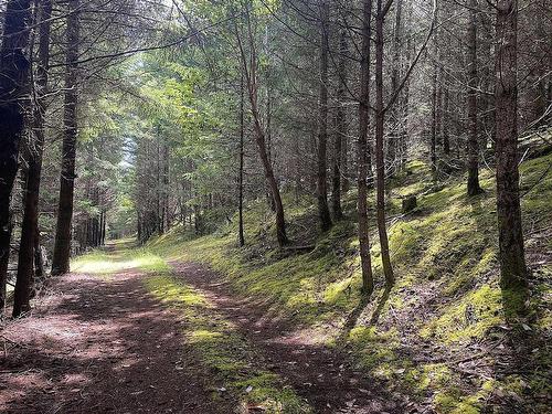 Lot 11 District Lot 71 And 77, Galiano Island, BC 