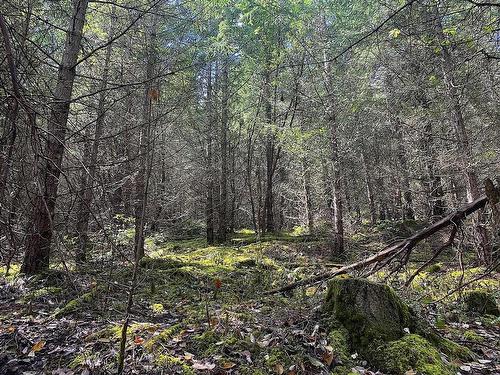 Lot 11 District Lot 71 And 77, Galiano Island, BC 