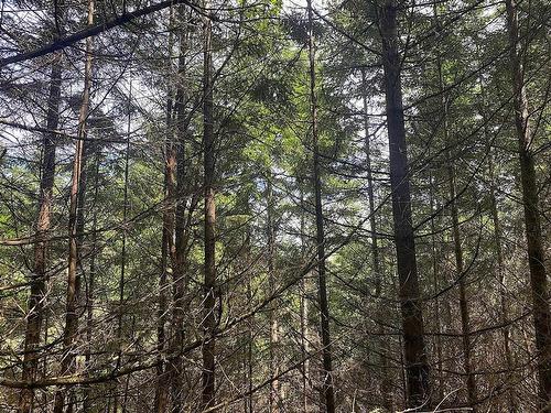 Lot 11 District Lot 71 And 77, Galiano Island, BC 