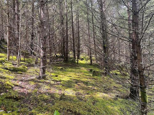 Lot 11 District Lot 71 And 77, Galiano Island, BC 