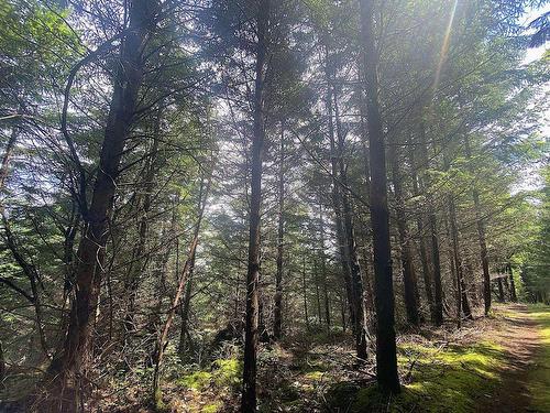 Lot 11 District Lot 71 And 77, Galiano Island, BC 