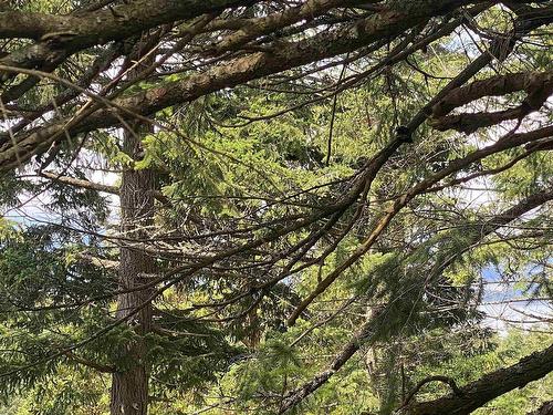 Lot 11 District Lot 71 And 77, Galiano Island, BC 