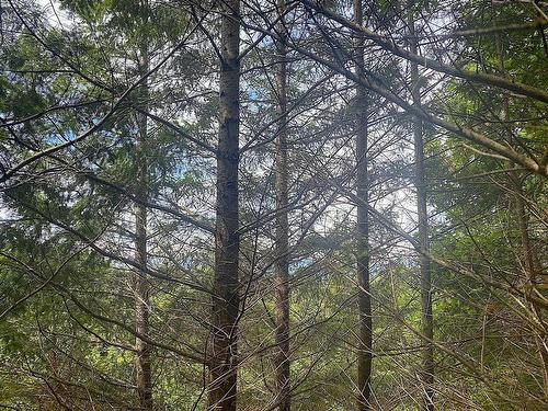 Lot 11 District Lot 71 And 77, Galiano Island, BC 