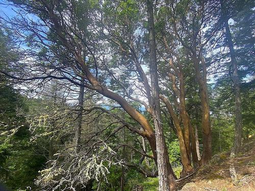 Lot 11 District Lot 71 And 77, Galiano Island, BC 