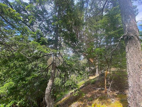 Lot 11 District Lot 71 And 77, Galiano Island, BC 