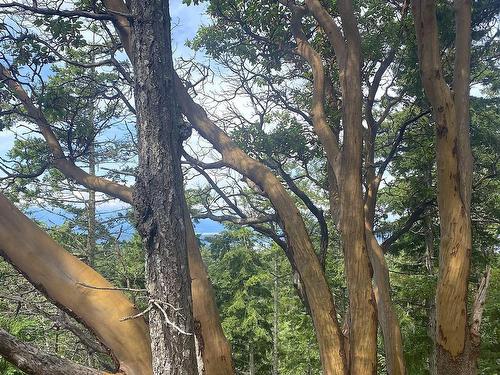 Lot 11 District Lot 71 And 77, Galiano Island, BC 