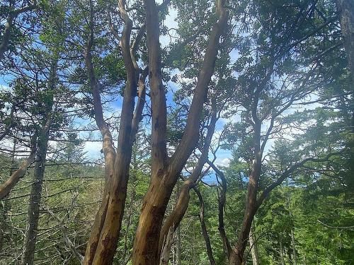 Lot 11 District Lot 71 And 77, Galiano Island, BC 