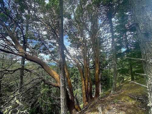 Lot 11 District Lot 71 And 77, Galiano Island, BC 