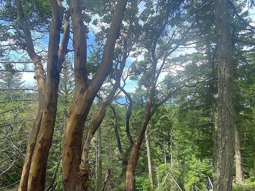 Lot 11 District Lot 71 And 77, Galiano Island, BC 