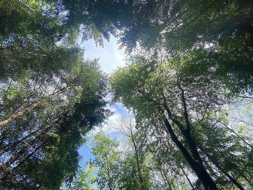 Lot 11 District Lot 71 And 77, Galiano Island, BC 