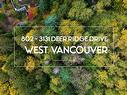 802 3131 Deer Ridge Drive, West Vancouver, BC 