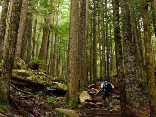 4731 Sea To Sky Highway, Squamish, BC 