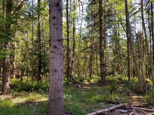 64 Beau Vista Lane, Galiano Island, BC 