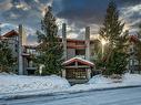 222 3309 Ptarmigan Place, Whistler, BC 