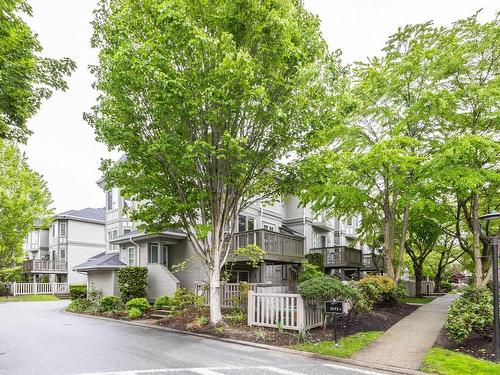 61 3880 Westminster Highway, Richmond, BC 
