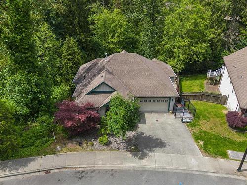 11445 228 Street, Maple Ridge, BC 