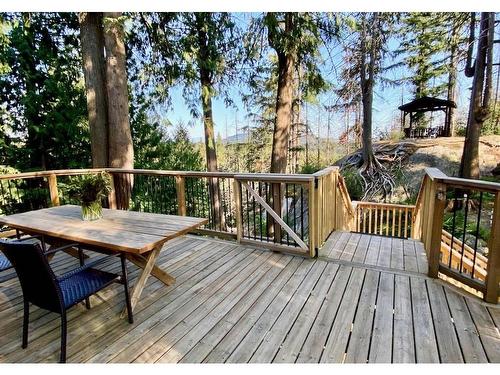 23867 132 Avenue, Maple Ridge, BC 