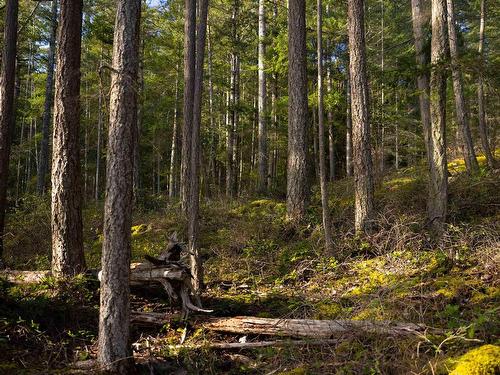 Lot C Sunshine Coast Highway, Sechelt, BC 