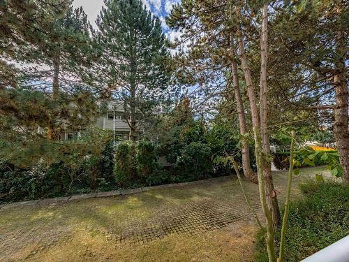 119 7453 Moffatt Road, Richmond, BC 