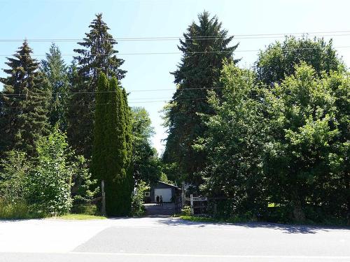 11052 240 Street, Maple Ridge, BC 