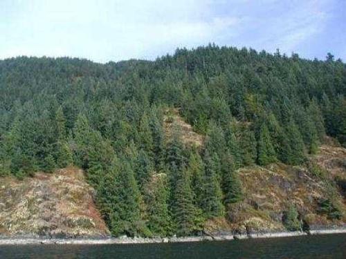 Lot 2 &-3 Indian Arm, Port Moody, BC 