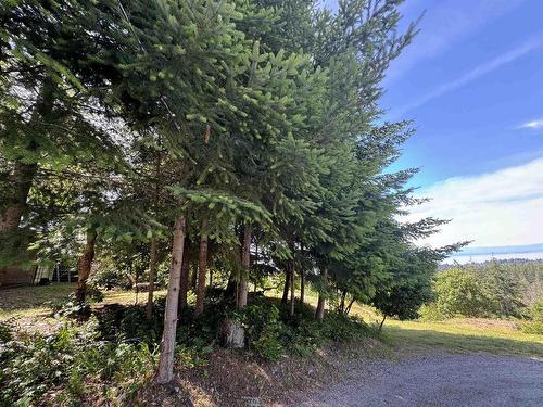 6016 Leaning Tree Road, Halfmoon Bay, BC 