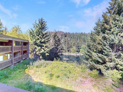 14 7001 Nesters Road, Whistler, BC 