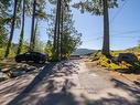 208 Turtlehead Road, Belcarra, BC 