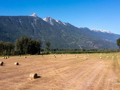 9505 Lillooet Forest Service Road, Pemberton, BC 