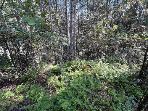 Lot 21 Sechelt Inlet Road, Sechelt, BC 